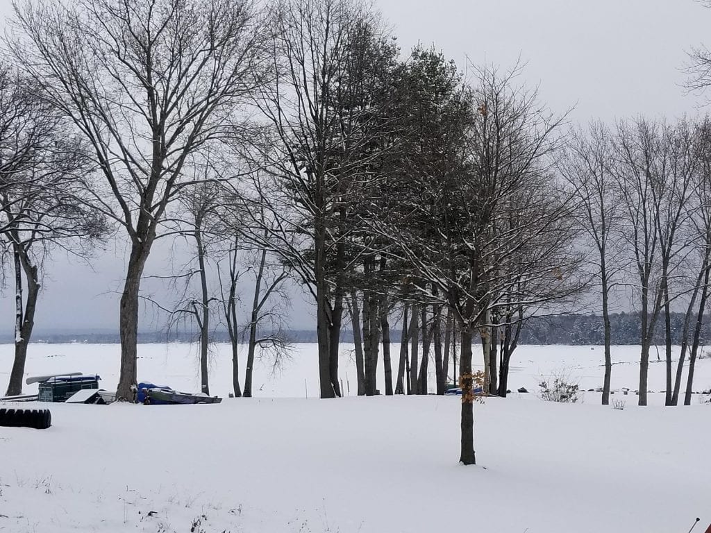 snowy lake through the trees