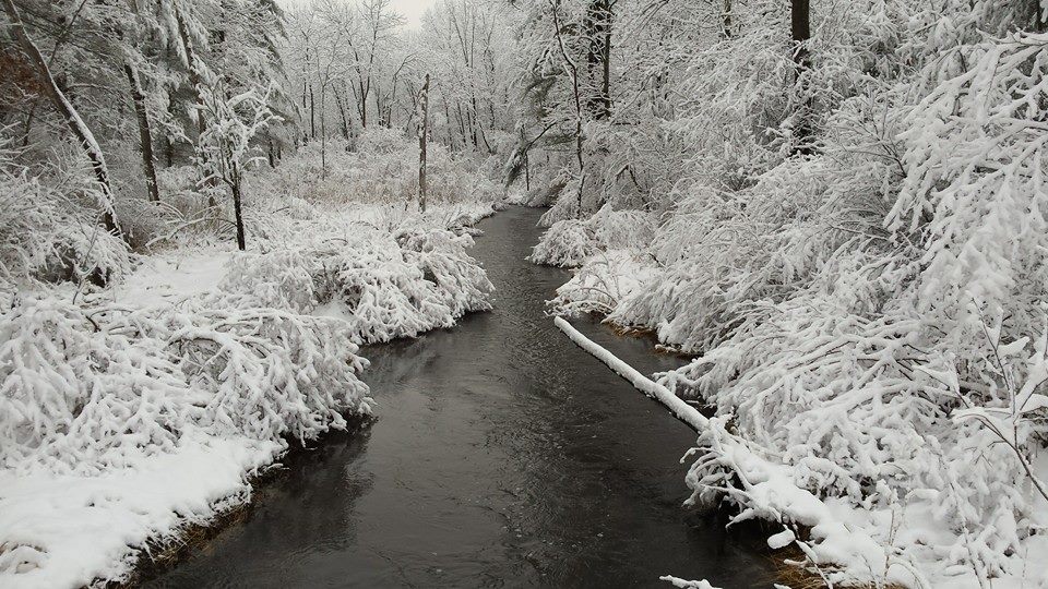 Winter RIver