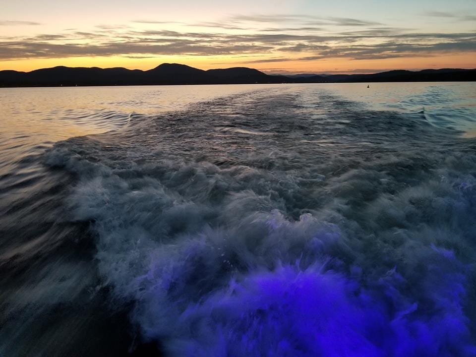 wake from the boat