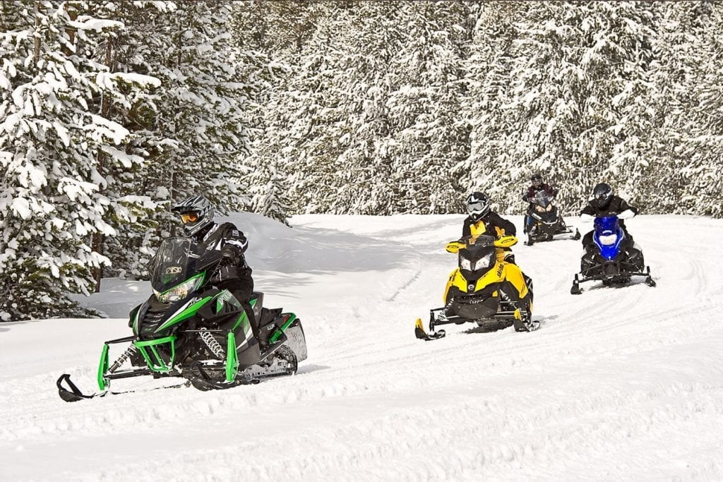 group of snowmobiles riding a wintry trail