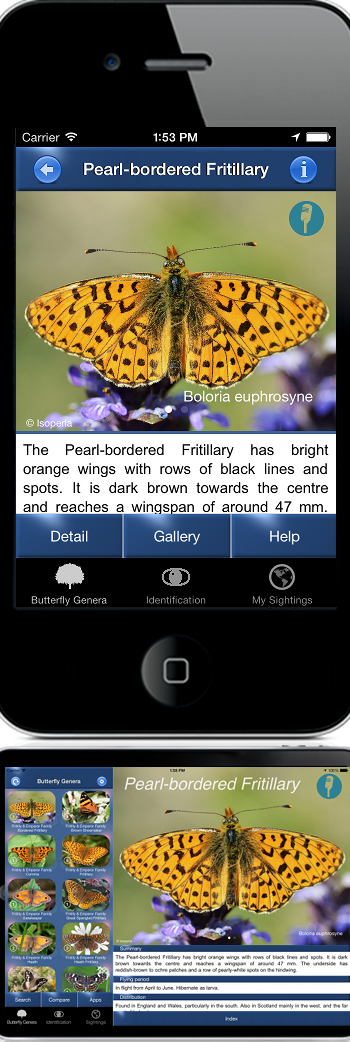 iPhoneScreenShotButterflyId